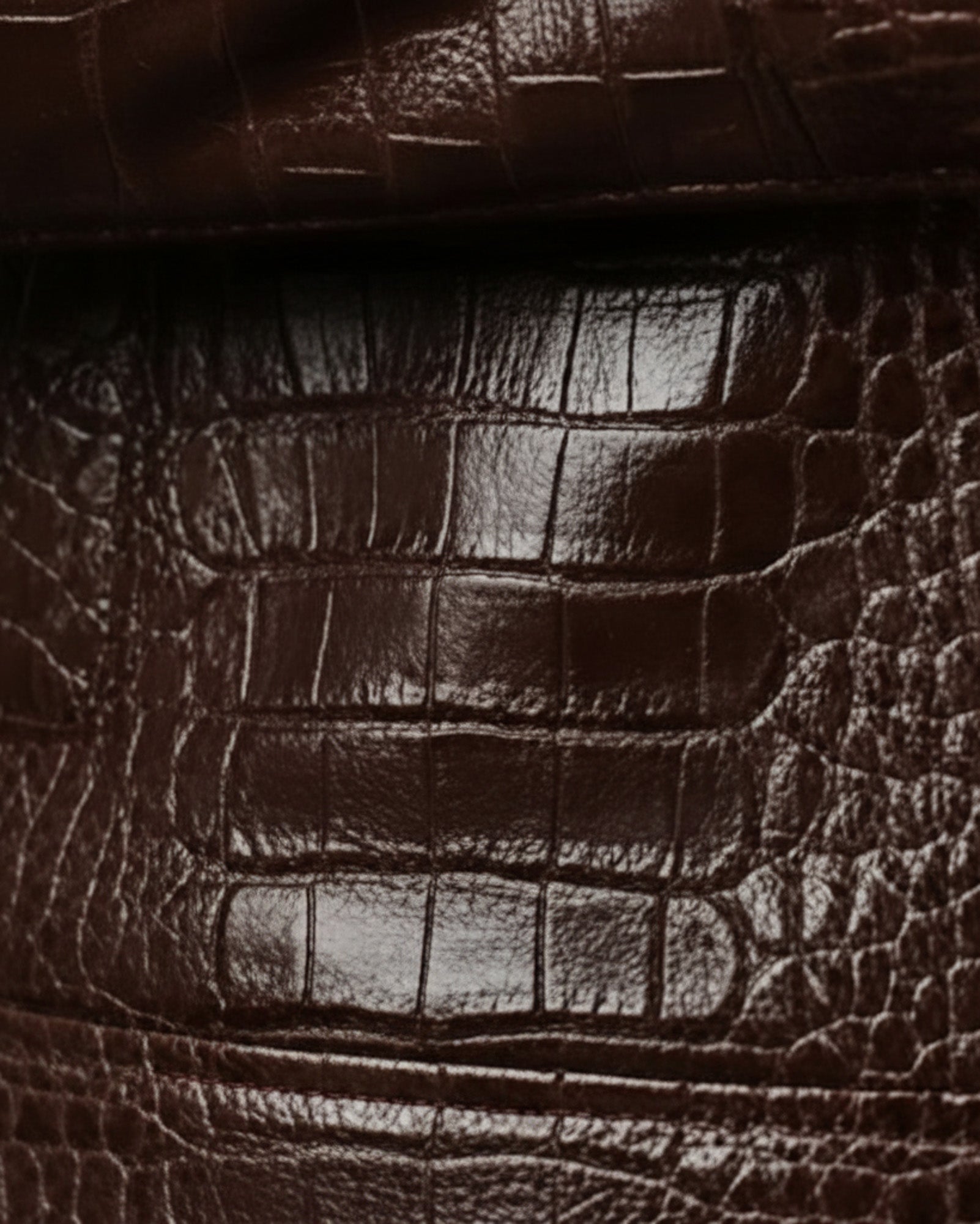 Men’s Brown Crocodile-Embossed Leather Jacket